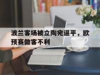 开云体育在线-波兰客场被立陶宛逼平，欧预赛做客不利的简单介绍