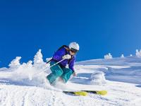 开云足球直播-独行侠一剑封喉，抢七生死战，东契奇率队一波流终结国王黑马之路