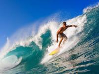 开云体育平台APP-约基奇攻防两端完美统治，灰熊内外开花粉碎公牛