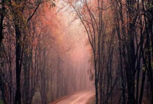 开云下载-詹姆斯贡献制胜表现，山西队全面压制热火—解析一场战术与意志的较量