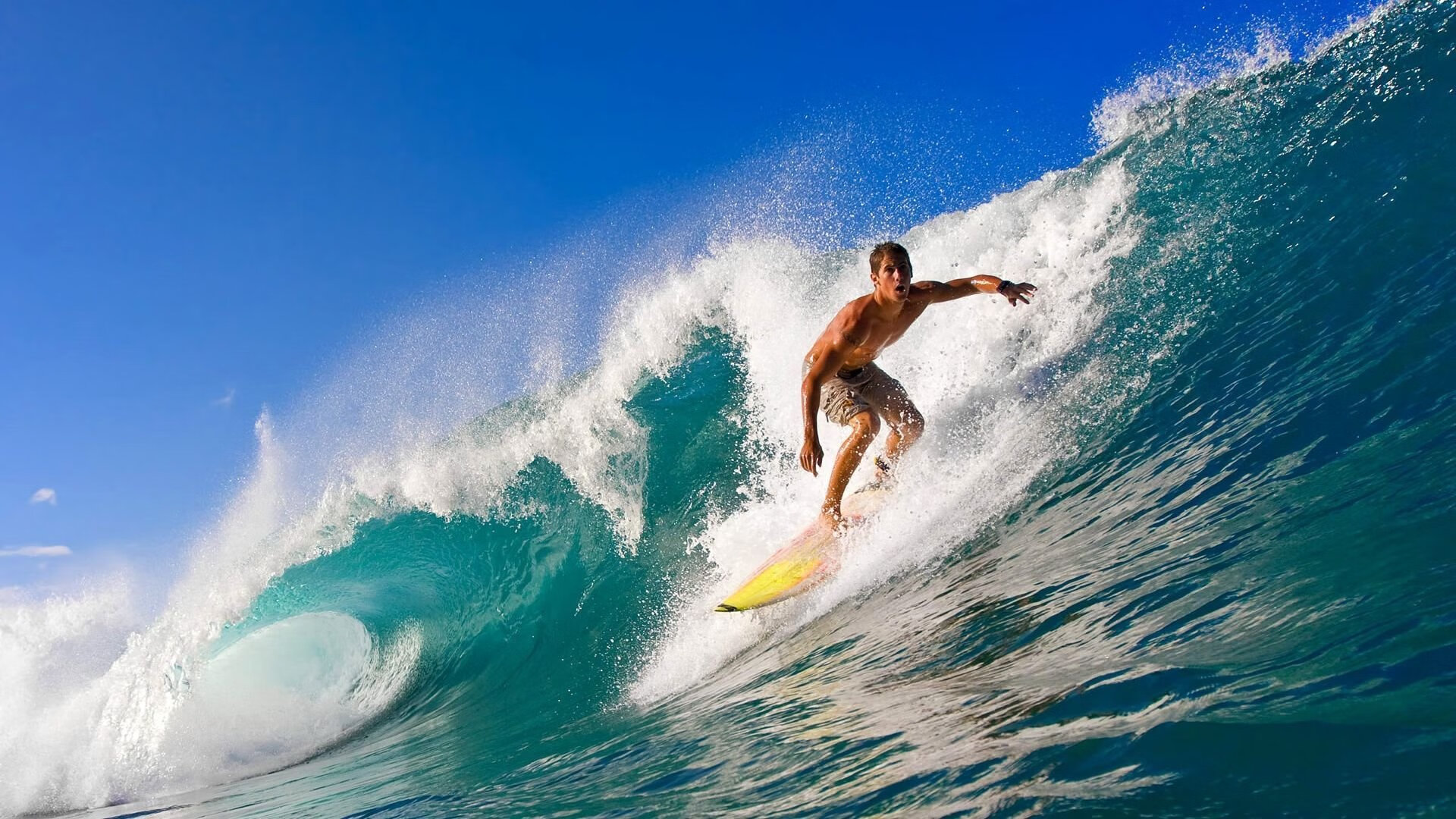 宿命与新生，当凯尔特人横扫历史，爱德华兹在悬崖边写下未来